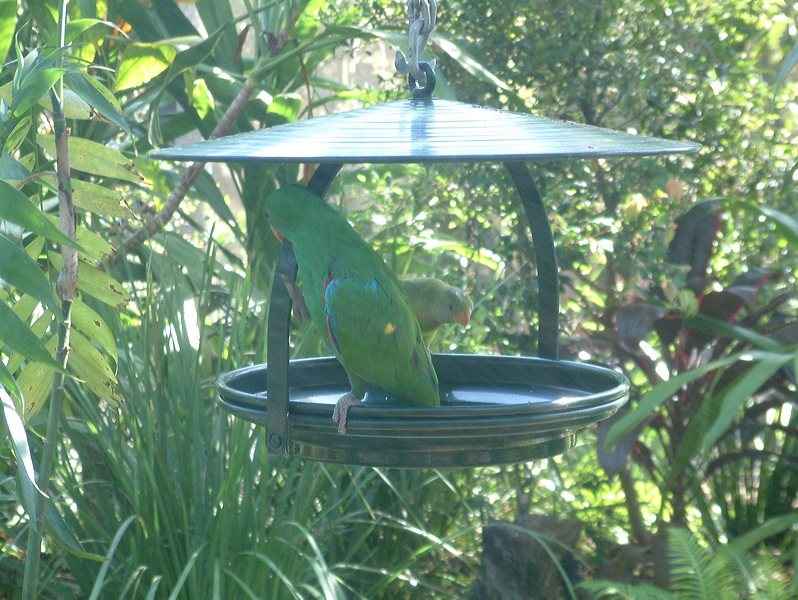 dscf0417.jpg