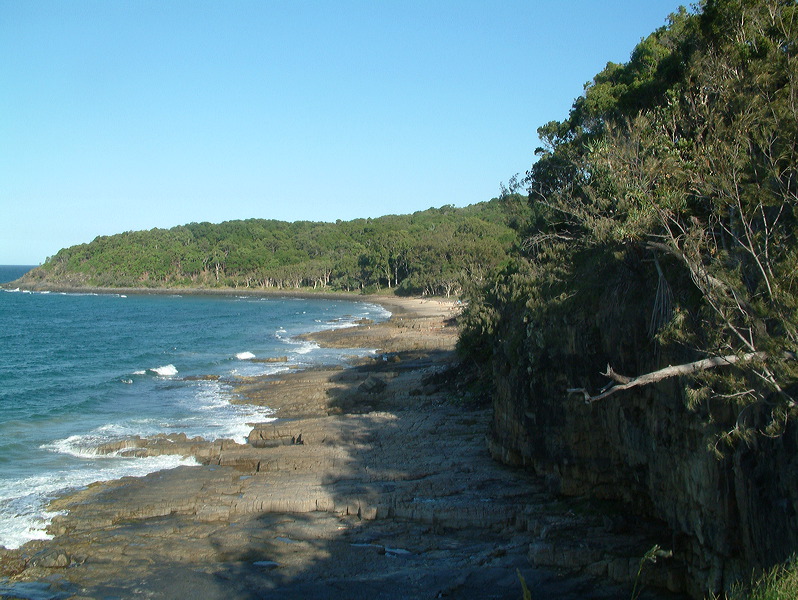 dscf0424.jpg