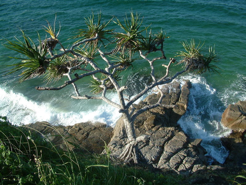 dscf0427.jpg