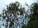 dscf0031