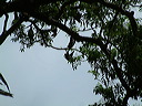 dscf0032