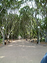 dscf0059