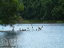 dscf0072