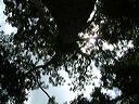 dscf0075