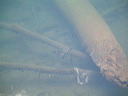 dscf0076