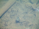 dscf0077