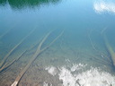 dscf0078