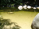 dscf0102