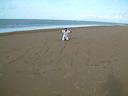 dscf0220