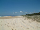 dscf0239