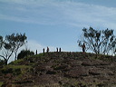 dscf0278