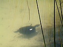 dscf0299