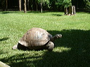dscf0343