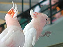 dscf0361
