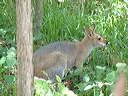 dscf0374