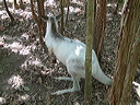 dscf0378