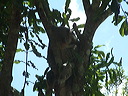 dscf0382