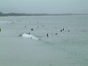 dscf0492