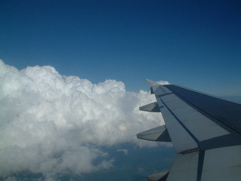 dscf0005.jpg
