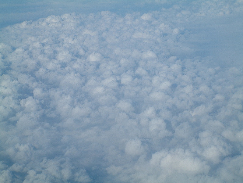 dscf0014.jpg