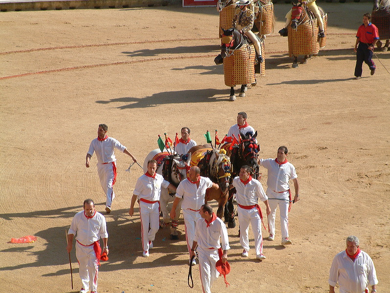 dscf0040.jpg