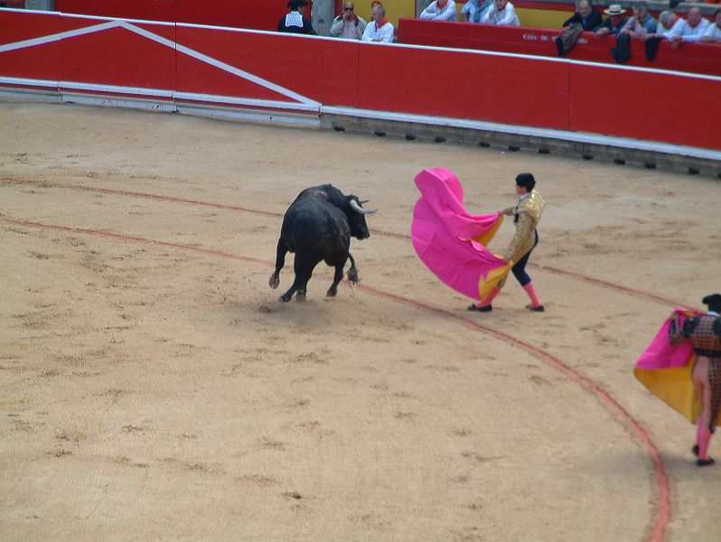 dscf0047.jpg