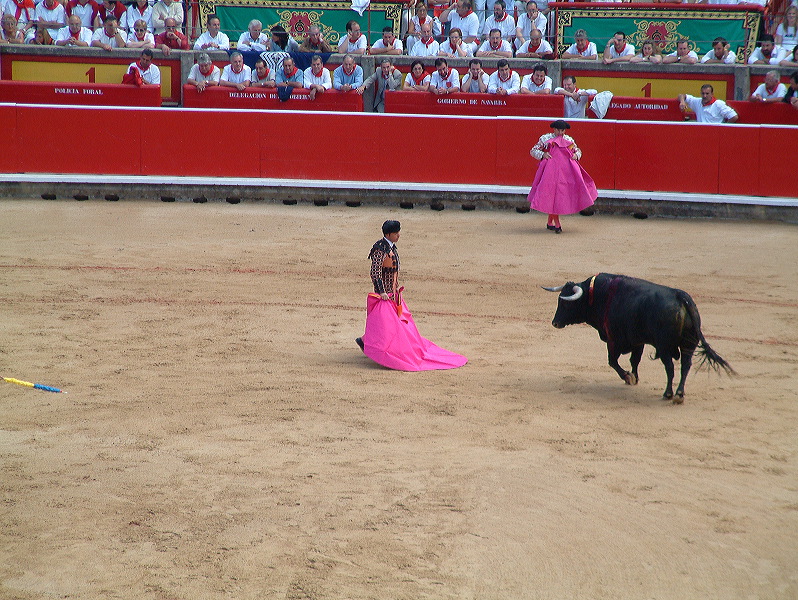 dscf0049.jpg