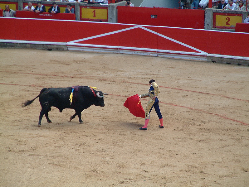 dscf0053.jpg