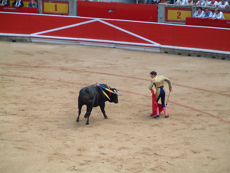 dscf0055.jpg