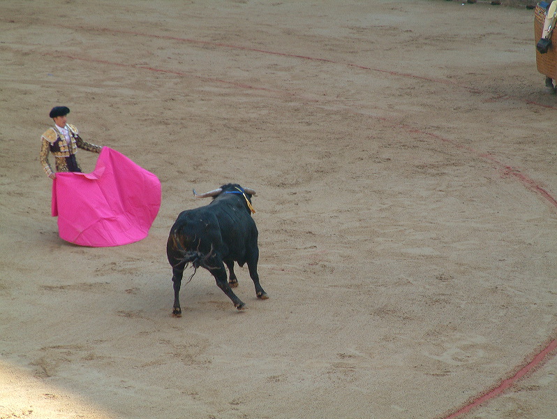 dscf0061.jpg