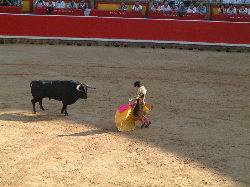 dscf0062.jpg