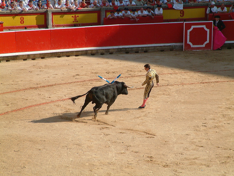 dscf0067.jpg