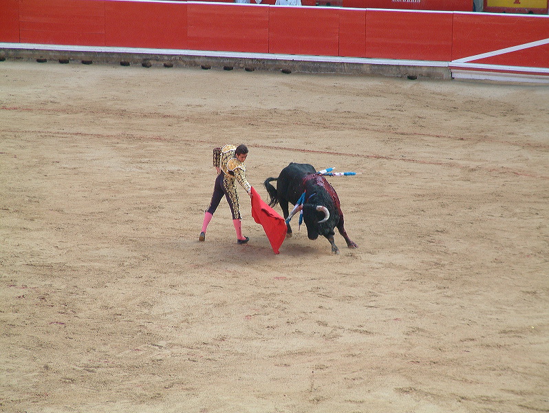 dscf0072.jpg