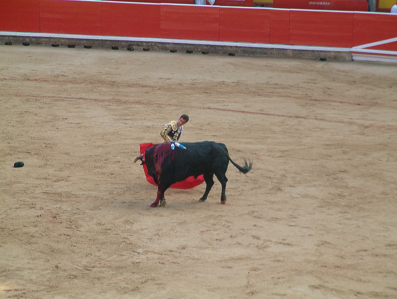 dscf0074.jpg