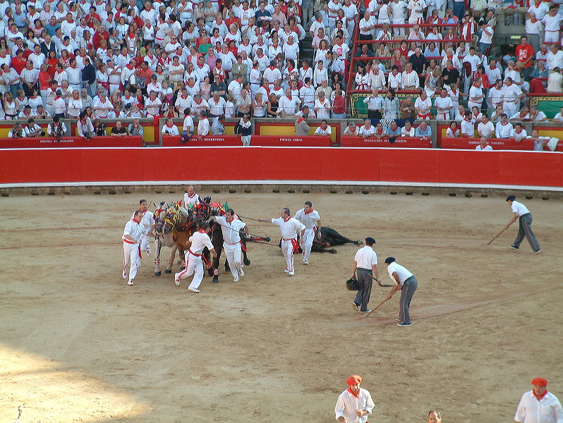 dscf0078.jpg