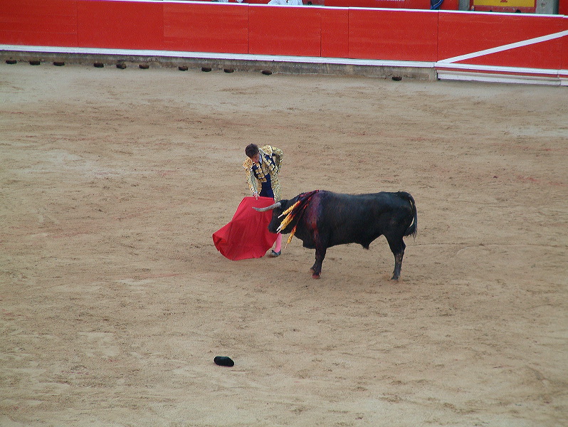 dscf0082.jpg