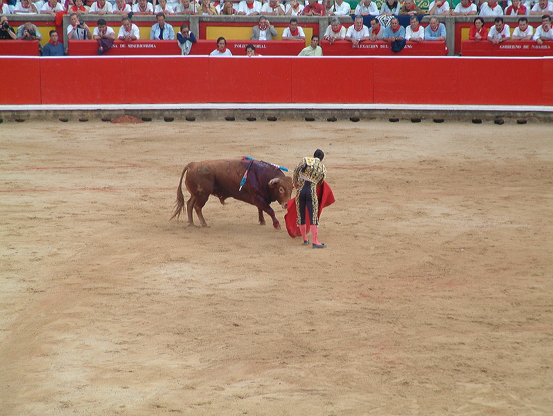 dscf0091.jpg