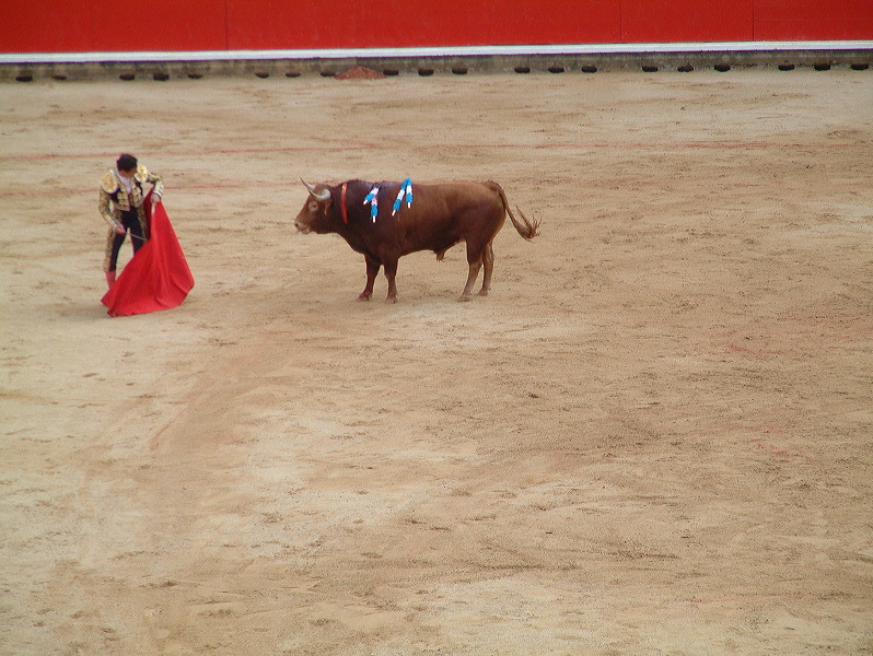 dscf0093.jpg