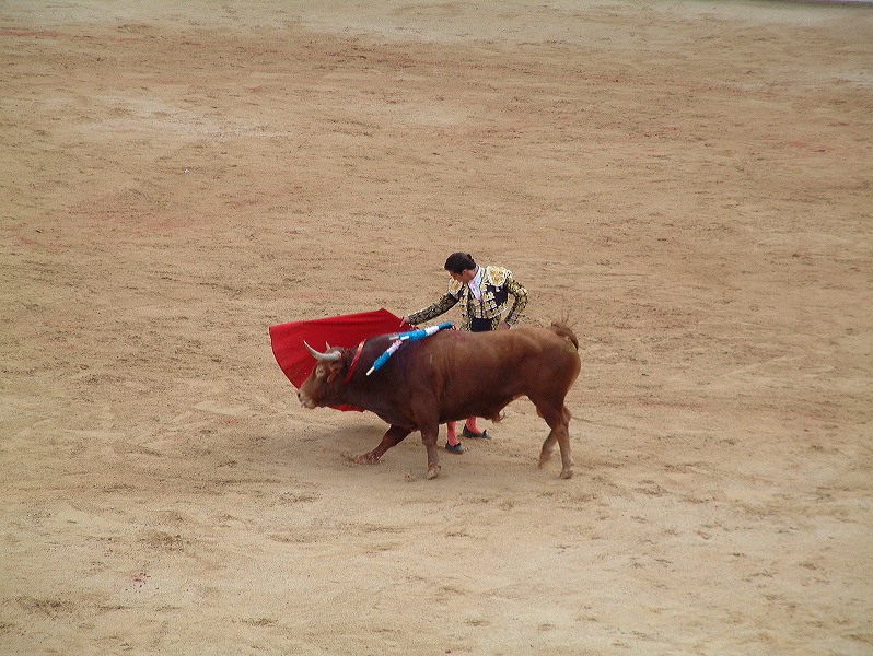 dscf0094.jpg