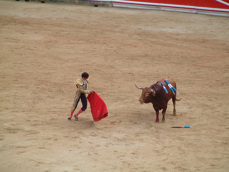 dscf0095.jpg