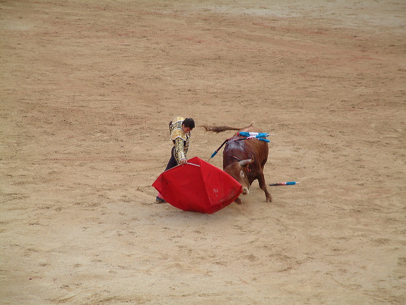 dscf0096.jpg