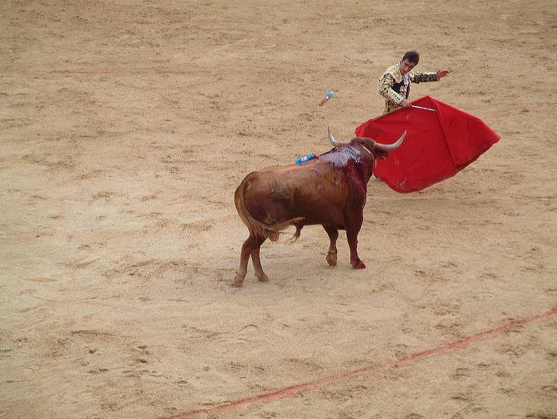 dscf0098.jpg