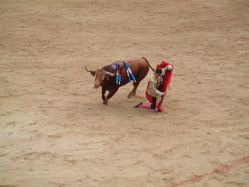 dscf0099.jpg