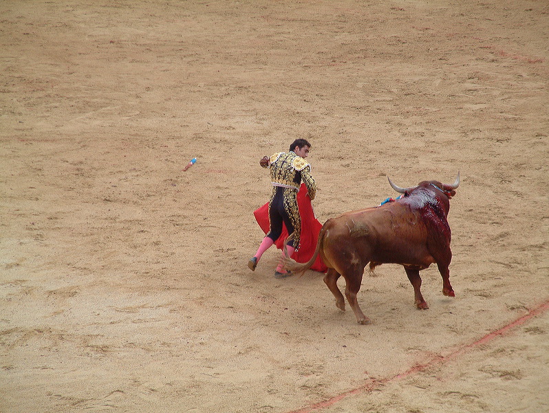 dscf0100.jpg