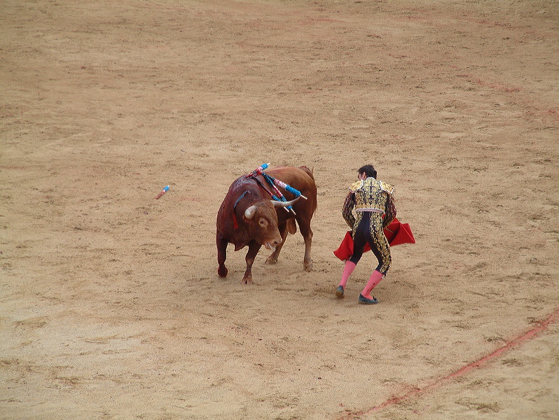 dscf0101.jpg