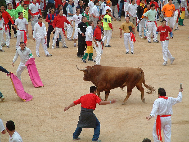 dscf0121.jpg