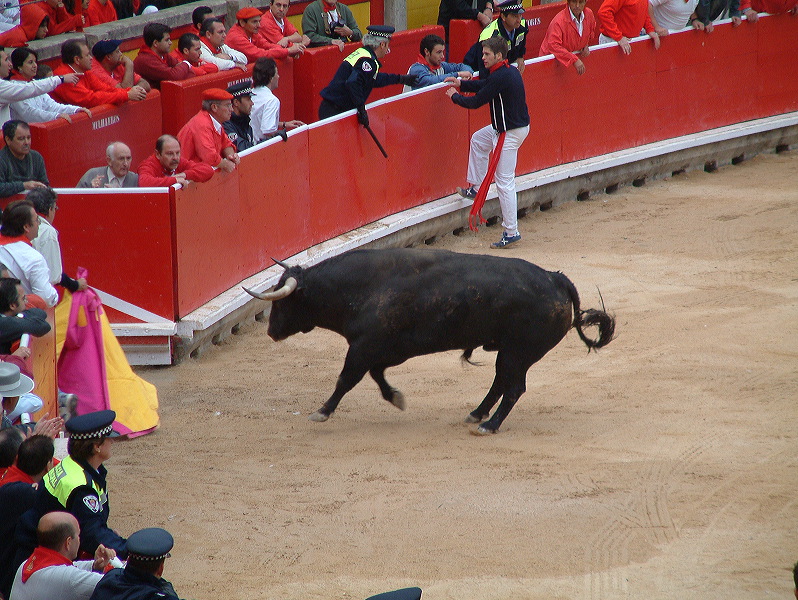 dscf0122.jpg