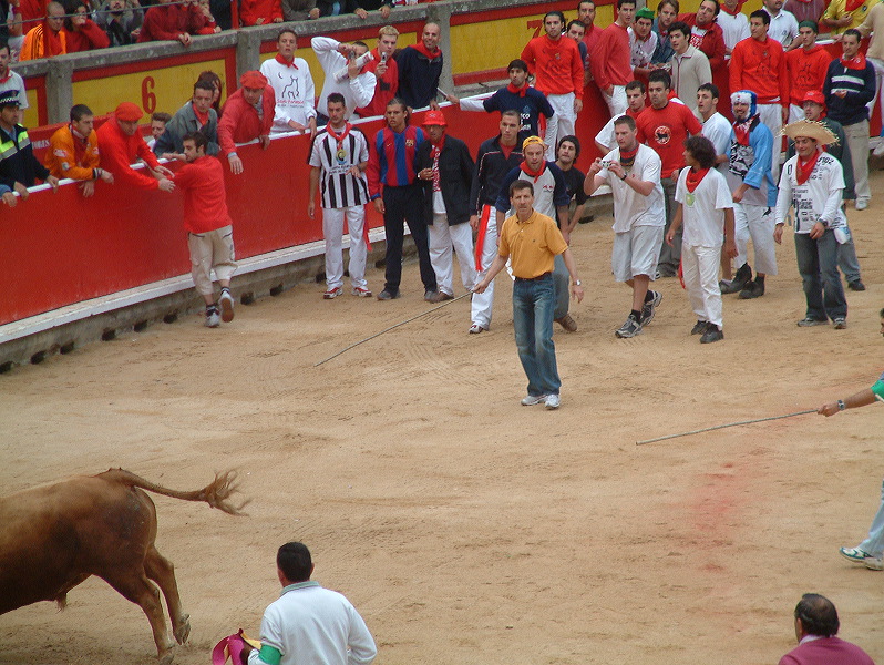 dscf0123.jpg