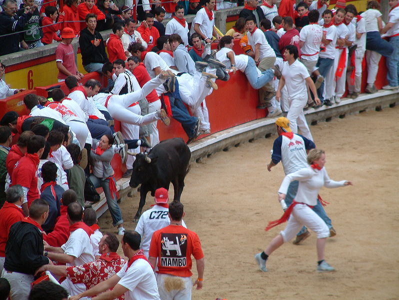 dscf0133.jpg