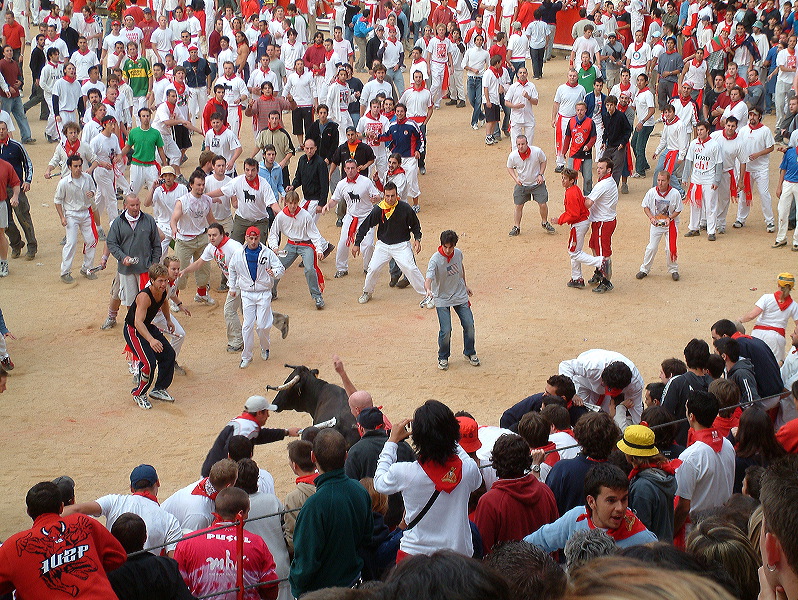 dscf0142.jpg